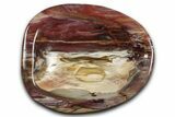 Colorful Polished Petrified Wood Bowl - Madagascar #346834-1